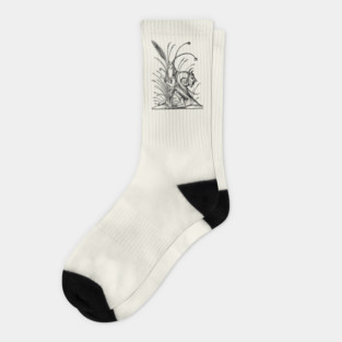 Grotesque #77 The Drolatic Dreams of Pantagruel (1565) Socks