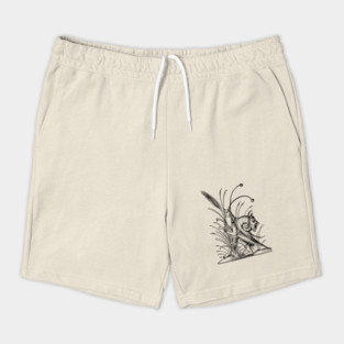 Grotesque #77 The Drolatic Dreams of Pantagruel (1565) Shorts