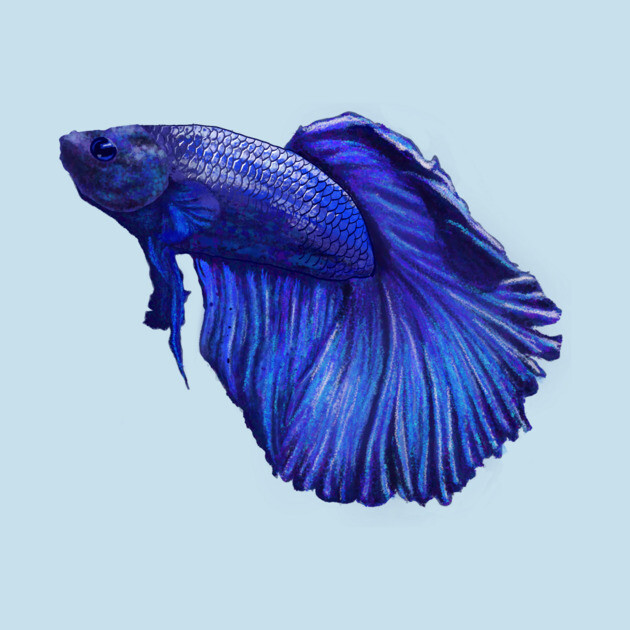 Johnny’s Betta Fish by Mindy’s Beer Gear