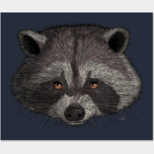 Raccoon Posters and Art