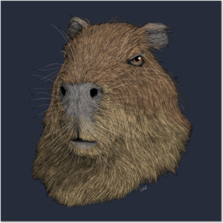 Capybara Posters and Art