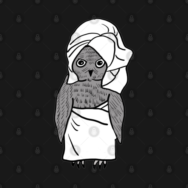 Owl in A Towel by Drawing Daily USA