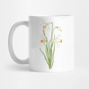3 white daffodil flower watercolor and ink Mug