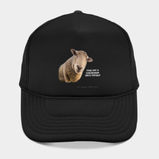 Sheep Hat