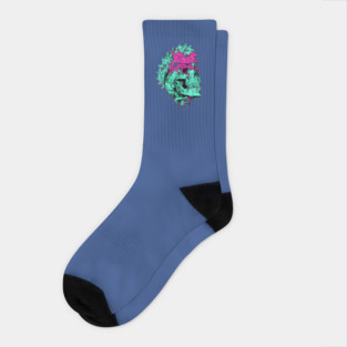 BD test Socks