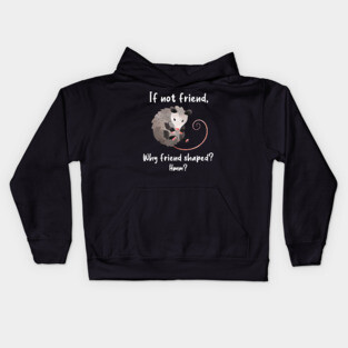 Opossum Friend Shaped Kids Hoodie