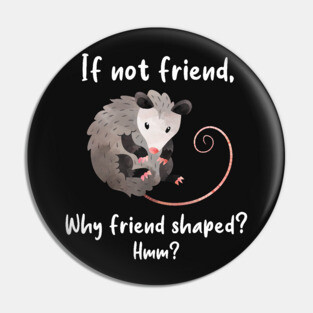 Opossum Friend Shaped Pin