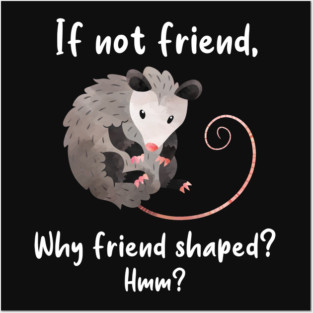Opossum Friend Shaped Posters and Art