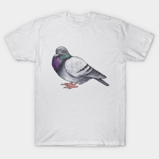 Fat Pigeon T-Shirt