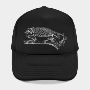 Chameleon Skeleton Hat