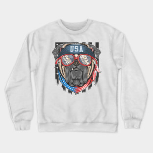 america Crewneck Sweatshirt
