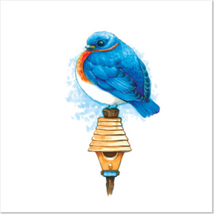 Beautiful Bluebird Bird Posters and Art
