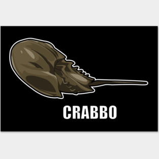 Bend Horseshoe Crab Posters and Art