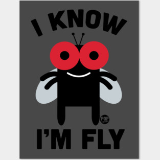 FLY Posters and Art