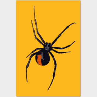 Spider Posters and Art