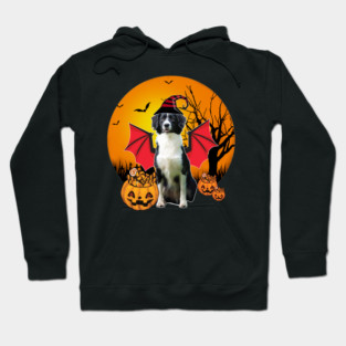 Happy Halloween Sprollie Dogs Halloween Gift Hoodie