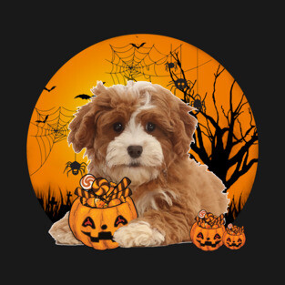 Happy Halloween Cavapoo Dogs Halloween Gift T-Shirt