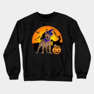 Happy Halloween Staffordshire Bull Terrier Dogs Halloween Gift Crewneck Sweatshirt