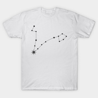 Pisces T-Shirt