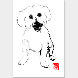 small white dog Posters and Art