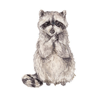 Cute watercolor raccoon T-Shirt