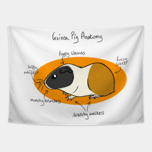 Guinea Pig Anatomy Tapestry