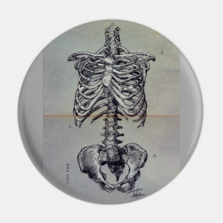 Cage (anatomy study) Pin