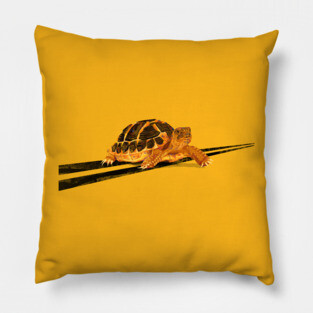 Turtle Pillow