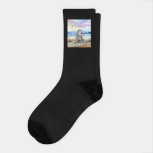 Beach Days - Pug Socks