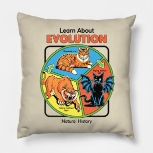 Learn About Evolution Pillow