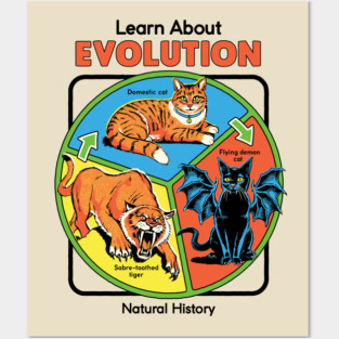 Learn About Evolution Posters and Art