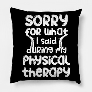 Sorry for what I said during my physical therapy, knee surgery gift, knee recovery Pillow