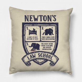Newton's Law School Pillow