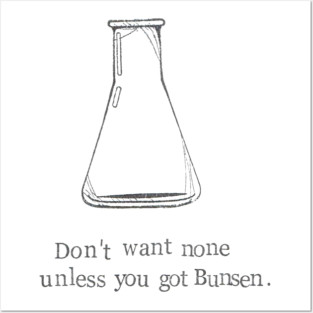 Don't Want None Unless You Got Bunsen Posters and Art