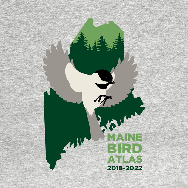 Maine Bird Atlas Logo by mainebirdatlas