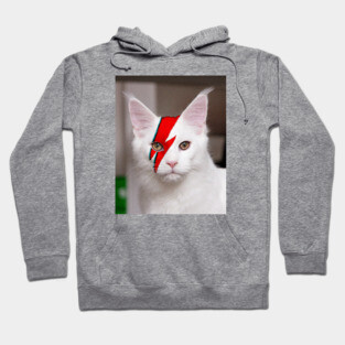 Ziggy Hoodie