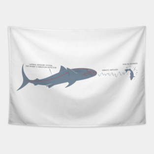 Jaws — Brody's Book Tapestry