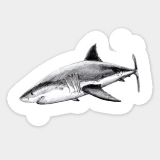 Great white shark (Carcharodon carcharias) Sticker
