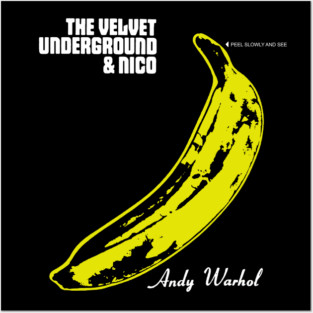 Velvet and Nico Posters and Art