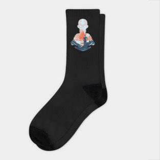 The last airbender Socks