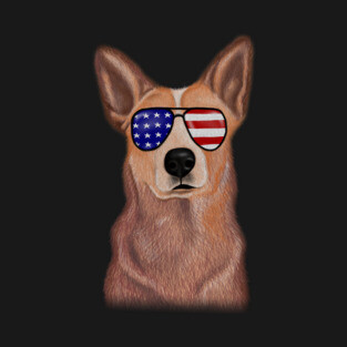 Proud Australian Cattle Dog Vintage America Flag T-Shirt
