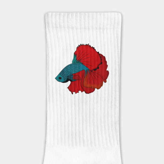 Siamese fighting fish Colorful betta fish Graphic by logiamerch