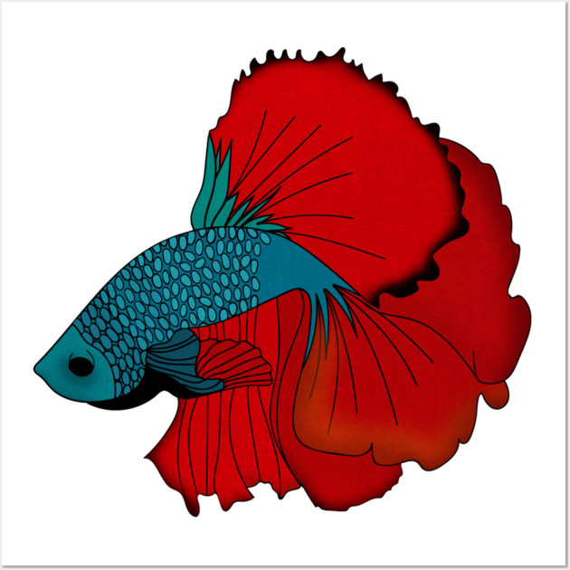 Siamese fighting fish Colorful betta fish Graphic Wall Art by logiamerch