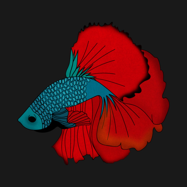 Siamese fighting fish Colorful betta fish Graphic by logiamerch