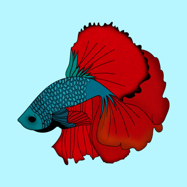 Siamese fighting fish Colorful betta fish Graphic by logiamerch