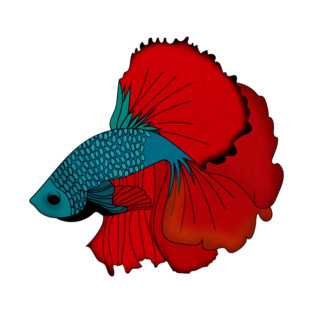 Siamese fighting fish Colorful betta fish Graphic T-Shirt