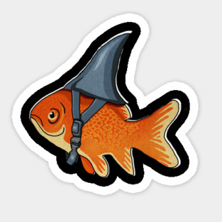 Funny Brave Goldfish Pretending to be a Shark Sticker