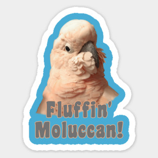 Moluccan Cockatoo Parrot Fluffin' Fluffenchops Magnet