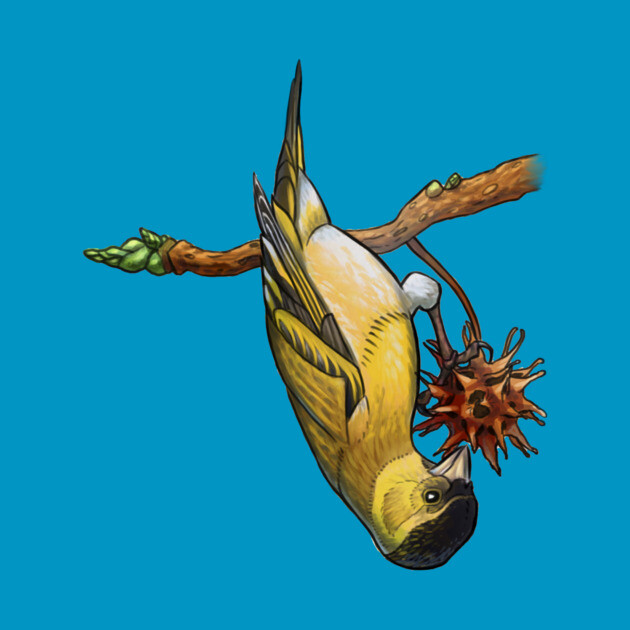 goldfinch by uialwen