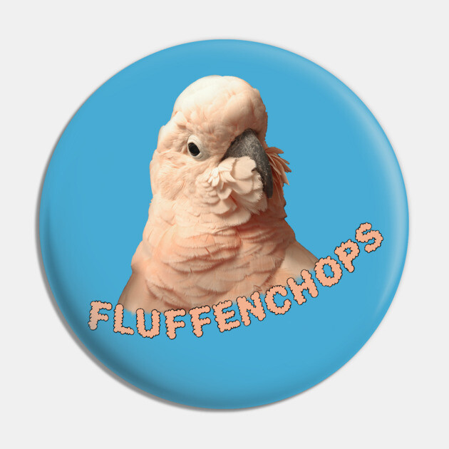 Moluccan Cockatoo Parrot Fluffenchops Pin by Einstein Parrot